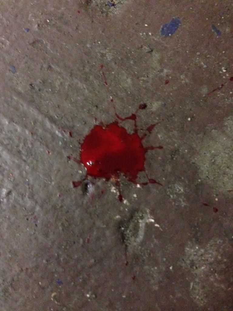 photo F965892B-EEE4-4DF3-9F9E-F5C7ABC5B348_zpszg2ljeq0.jpg