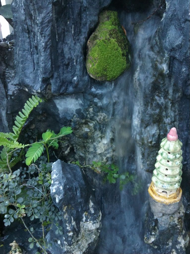 topic về những hình ảnh chụp bằng điện thoại di động - 9