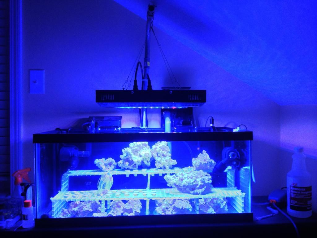 IMG 0134 zps10c6a152 - AJM reef LEDs for FW planted tank