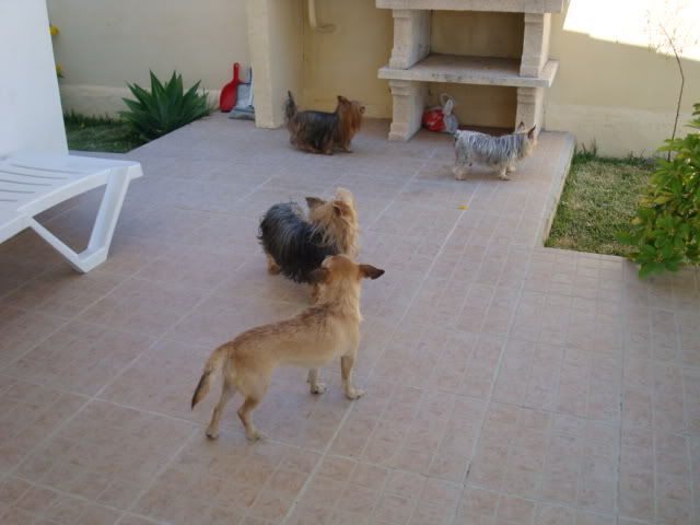 Imagem