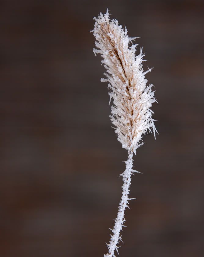 8456094-lg.jpg