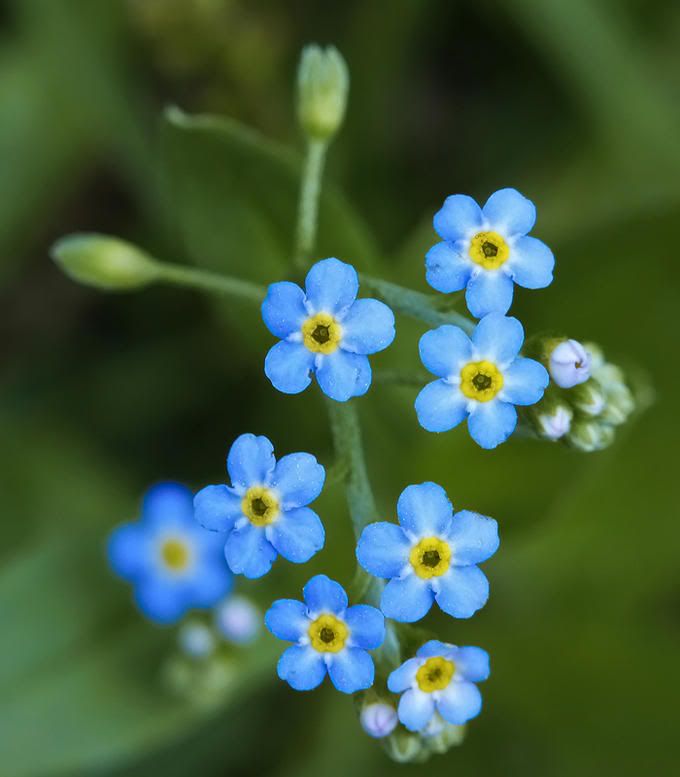 8542133-md.jpg