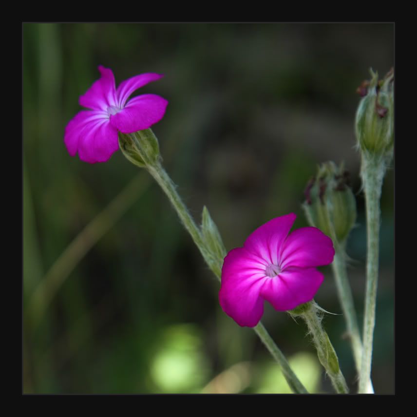 9345391-lg.jpg