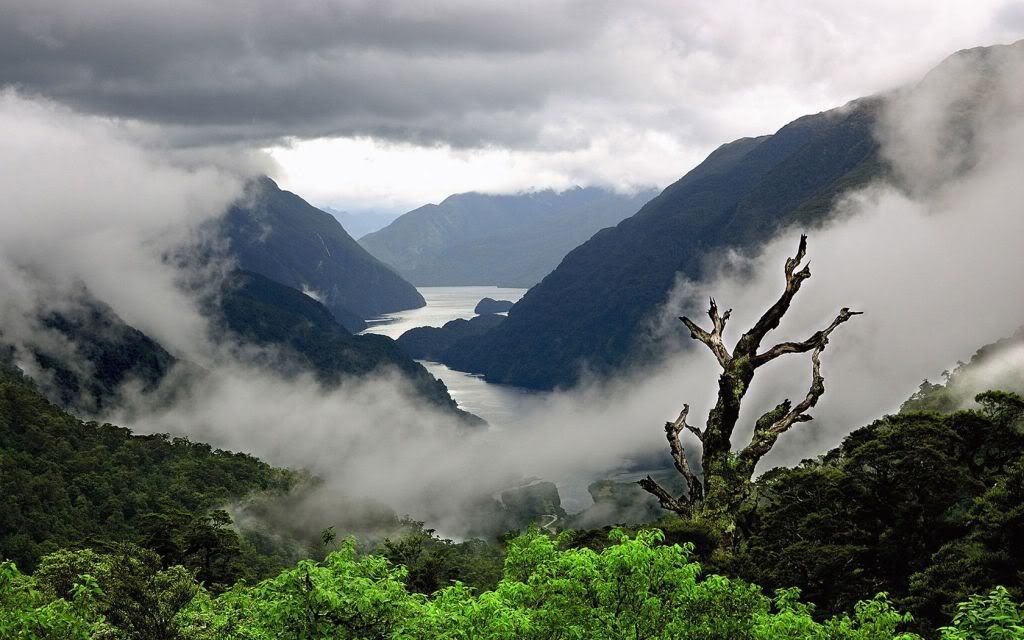 DoubtfulSoundNewZealand.jpg