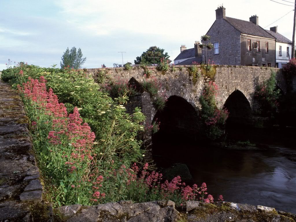 RiverBoyneCountyMeathIreland.jpg
