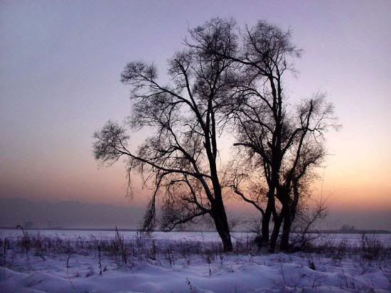 Kazakistan50-1.jpg