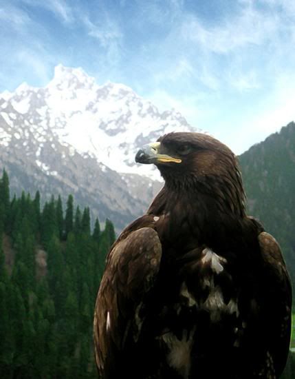 Kazakistan79-1.jpg