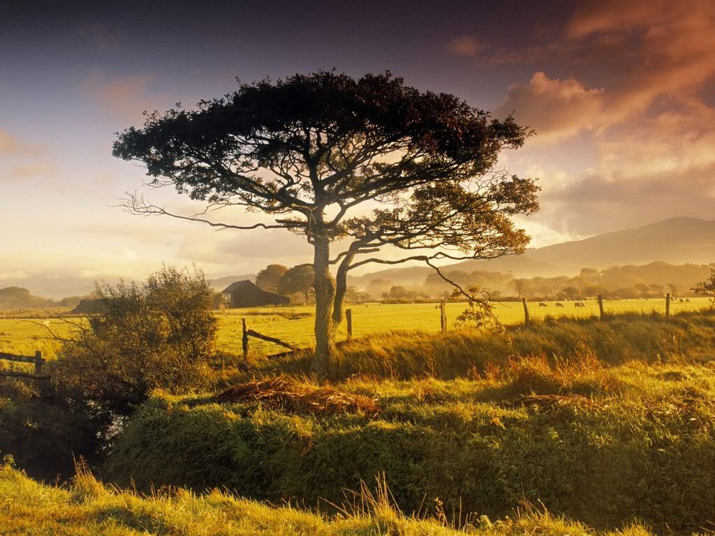 ScenicNearHarlechNorthWalesGreatBri.jpg