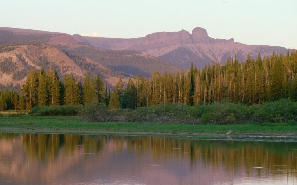 ad14794505873.jpg
