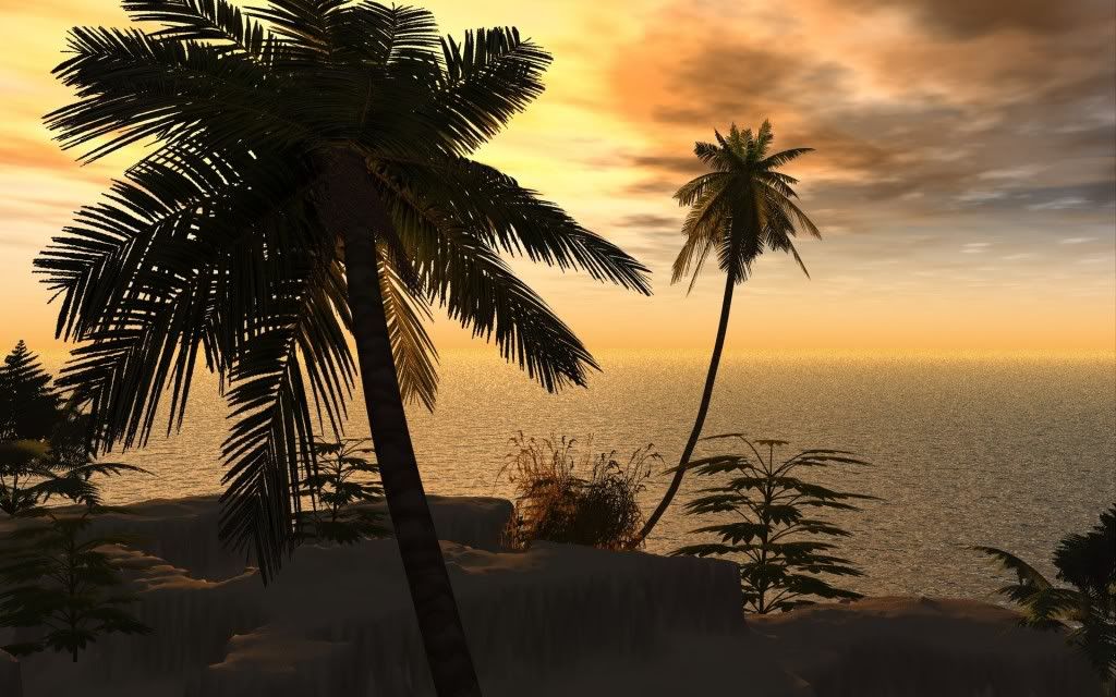 d537226e202df09794c05636600fd86f.jpg