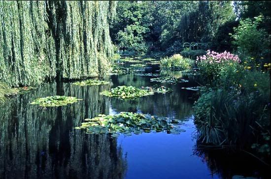 monet_2_8x6.jpg