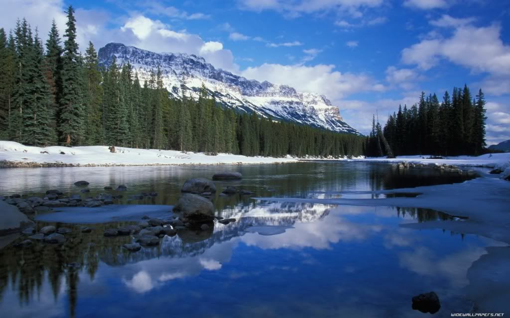 nature-wallpaper-1680x1050-007.jpg