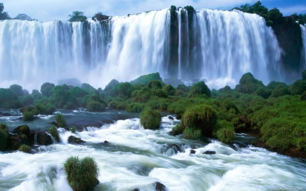 nature-wallpaper-1680x1050-022.jpg