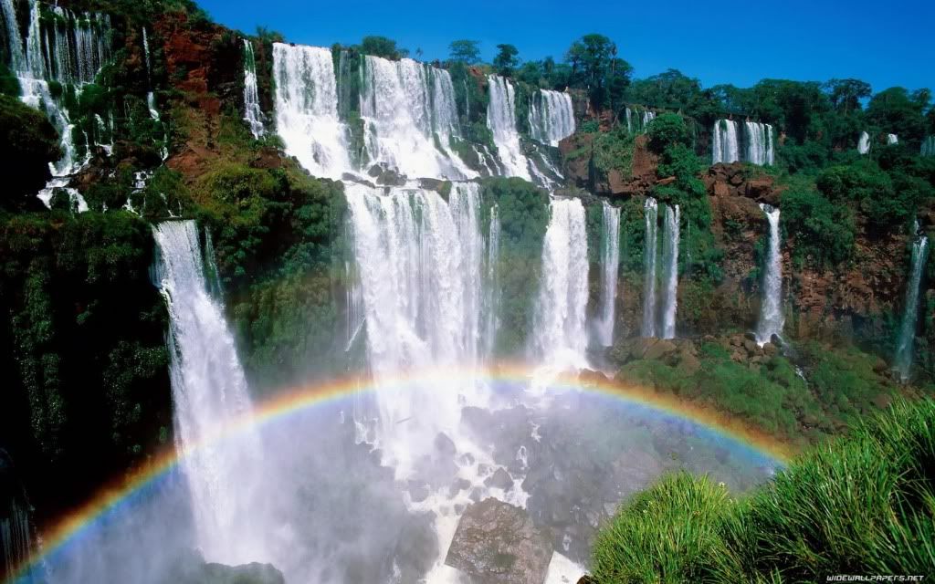 nature-wallpaper-1680x1050-023.jpg