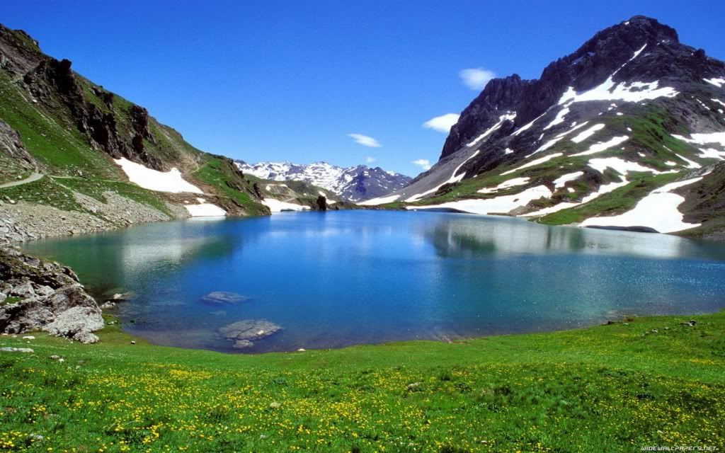 nature-wallpaper-1680x1050-025.jpg