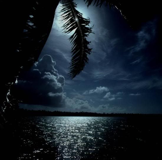 tahiti_51-36_mod.jpg