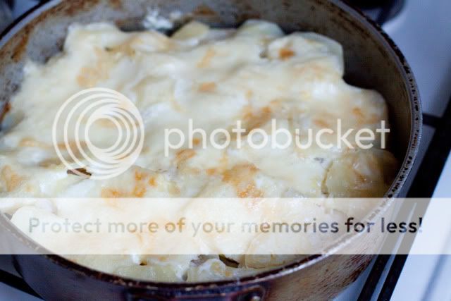 IMG_8643.jpg picture by Twiggy82