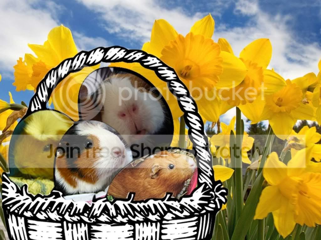 easter-1.jpg